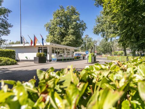 Vakantiepark de Bergen - Camping Sint Anthonis - Image N°57