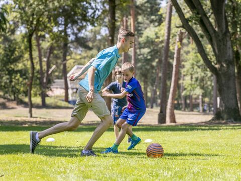 Vakantiepark de Bergen - Camping Sint Anthonis - Image N°101