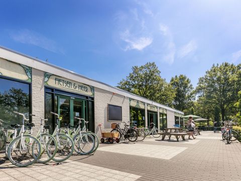 Vakantiepark de Bergen - Camping Sint Anthonis - Image N°66
