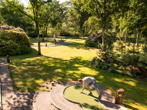 Vakantiepark de Bergen - Camping Sint Anthonis - Image N°177