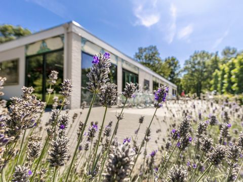 Vakantiepark de Bergen - Camping Sint Anthonis - Image N°64