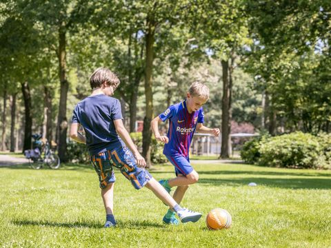 Vakantiepark de Bergen - Camping Sint Anthonis - Image N°104