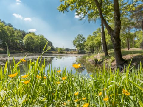 Vakantiepark de Bergen - Camping Sint Anthonis - Image N°94