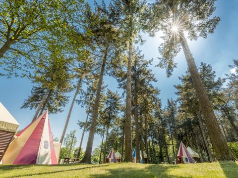 Vakantiepark de Bergen - Camping Sint Anthonis - Image N°81
