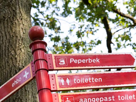 Vakantiepark de Bergen - Camping Sint Anthonis - Image N°148
