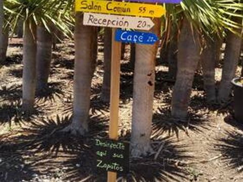 Camping Invernaderito - Camping Iles Canaries - Image N°6