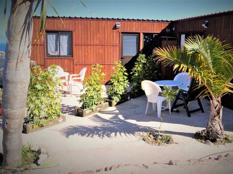 Camping Invernaderito - Camping Iles Canaries - Image N°15