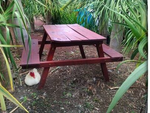 Camping Invernaderito - Camping Iles Canaries - Image N°5