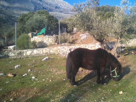 Camping El Cantonet - Camping Jaén - Image N°7