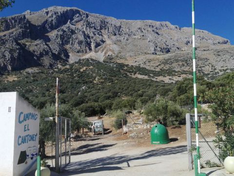 Camping El Cantonet - Camping Jaén - Image N°16