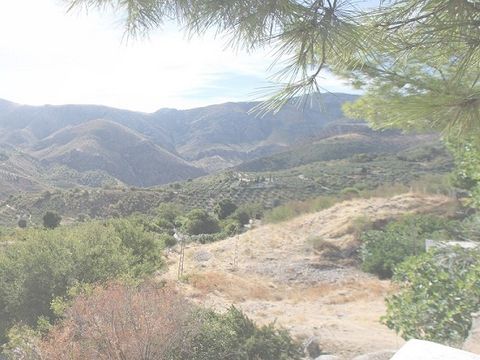 Camping El Cantonet - Camping Jaén - Image N°19