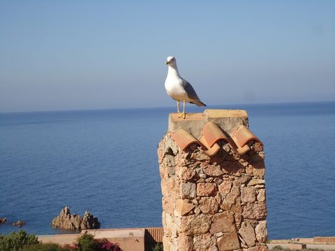 Villaggio Costa Rosa - Camping Sassari - Image N°18