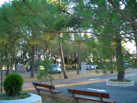 Camping Bolaso - Camping Saragosse - Image N°3