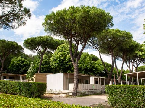 Camping hu I Pini Village - Camping Rome - Image N°26