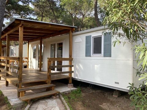 MOBILHOME 4 personnes - Standard (Pineta Area) B Type