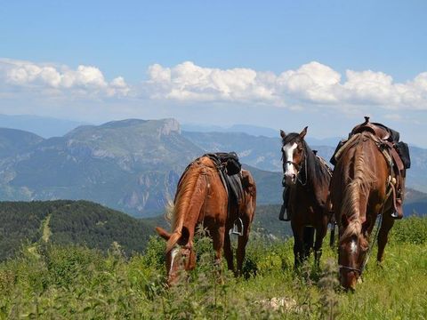 Camping Bungalowpark Isabena - Camping Huesca - Image N°8