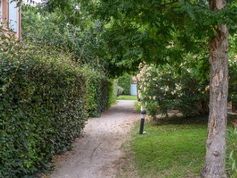 Residence Les Demeures du Ventoux - Camping Vaucluse - Image N°20