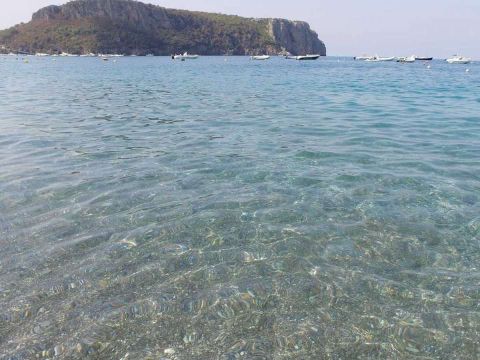 International Camping Village - Camping Cosenza - Image N°2