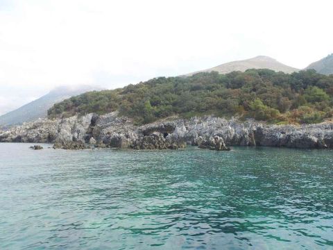 International Camping Village - Camping Cosenza - Image N°14