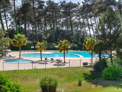 Residence L'Allee des Dunes - Camping Landes - Image N°3