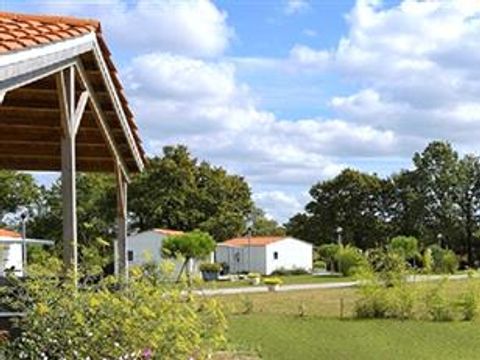 Camping Parc de la Croix des Fontenelles - Camping Vendée - Image N°4