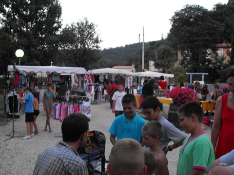 Camping les Acacias  - Camping Ardèche - Image N°65