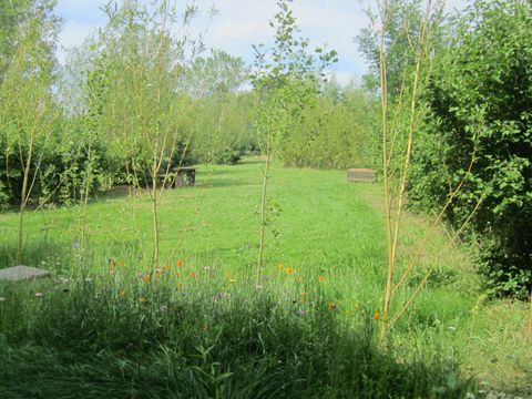 Camping L'Oseraie les Philiberts - Camping Gironde - Image N°3