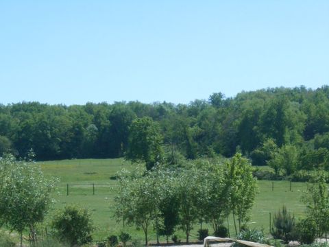 Camping L'Oseraie les Philiberts - Camping Gironde - Image N°8