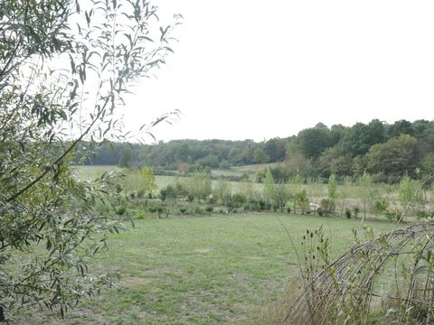 Camping L'Oseraie les Philiberts - Camping Gironde - Image N°12