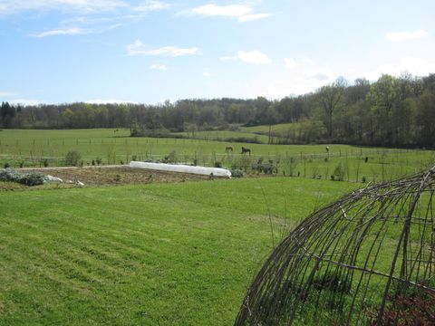 Camping L'Oseraie les Philiberts - Camping Gironde - Image N°7