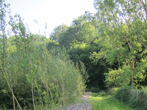 Camping L'Oseraie les Philiberts - Camping Gironde - Image N°15