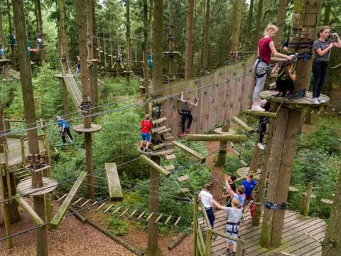 Country Resort de Papillon - Camping Dinkelland - Image N°29