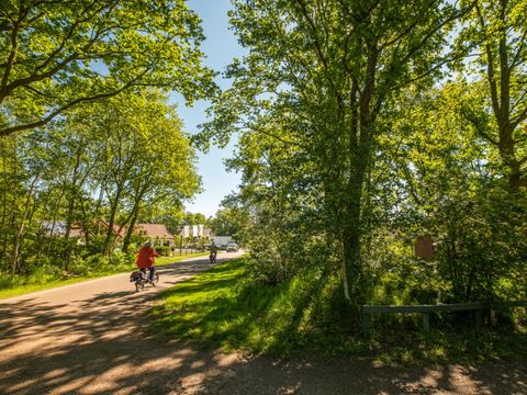 Country Resort de Papillon - Camping Dinkelland - Image N°56