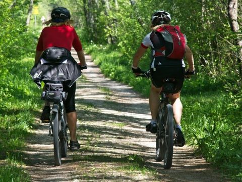 Country Resort de Papillon - Camping Dinkelland - Image N°22