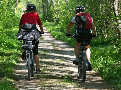 Country Resort de Papillon - Camping Dinkelland - Image N°36