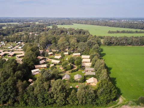 Country Resort de Papillon - Camping Dinkelland - Image N°64