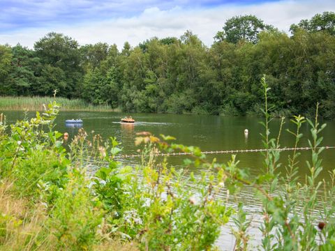 Country Resort de Papillon - Camping Dinkelland - Image N°10