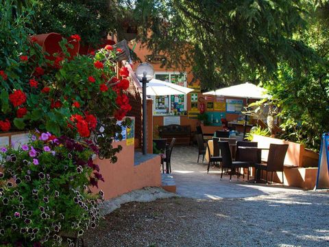 Camping Village Casa dei Prati - Camping Livourne - Image N°18