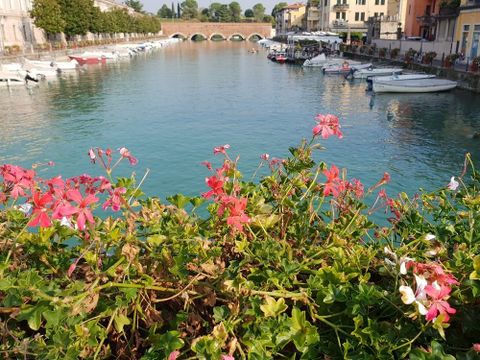 Camping del Garda - Camping Vérone - Image N°76