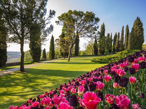 Camping del Garda - Camping Vérone - Image N°86