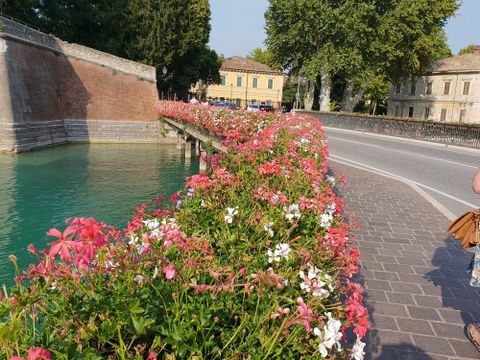Camping del Garda - Camping Vérone - Image N°82