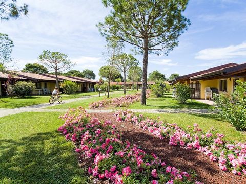 Camping del Garda - Camping Vérone - Image N°63