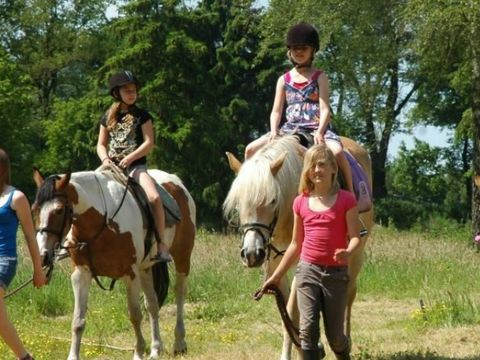 Village vacances Recreatielandgoed De IJsvogel - Camping Barneveld - Image N°21