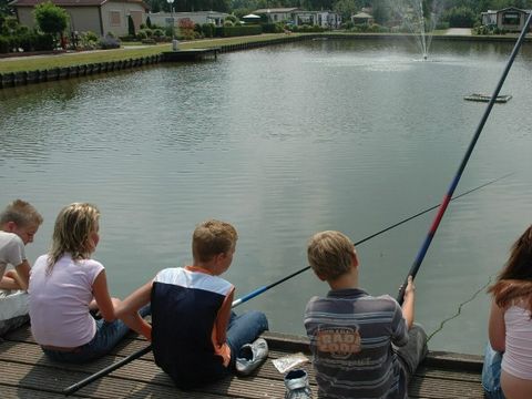 Village vacances Recreatielandgoed De IJsvogel - Camping Barneveld - Image N°22