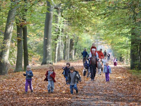 Village vacances Recreatielandgoed De IJsvogel - Camping Barneveld - Image N°19