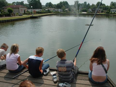 Village vacances Recreatielandgoed De IJsvogel - Camping Barneveld - Image N°13