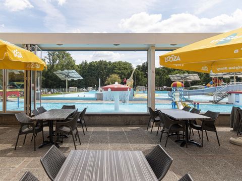 Camping Wilhelm Tell - Camping Limburg Belge - Image N°16