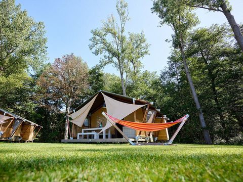 Camping Wilhelm Tell - Camping Limburg Belge - Image N°49
