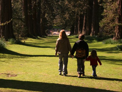 Camping Wilhelm Tell - Camping Limburg Belge - Image N°32