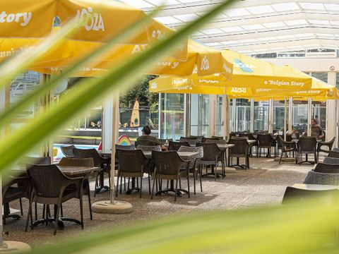 Camping Wilhelm Tell - Camping Limburg Belge - Image N°38